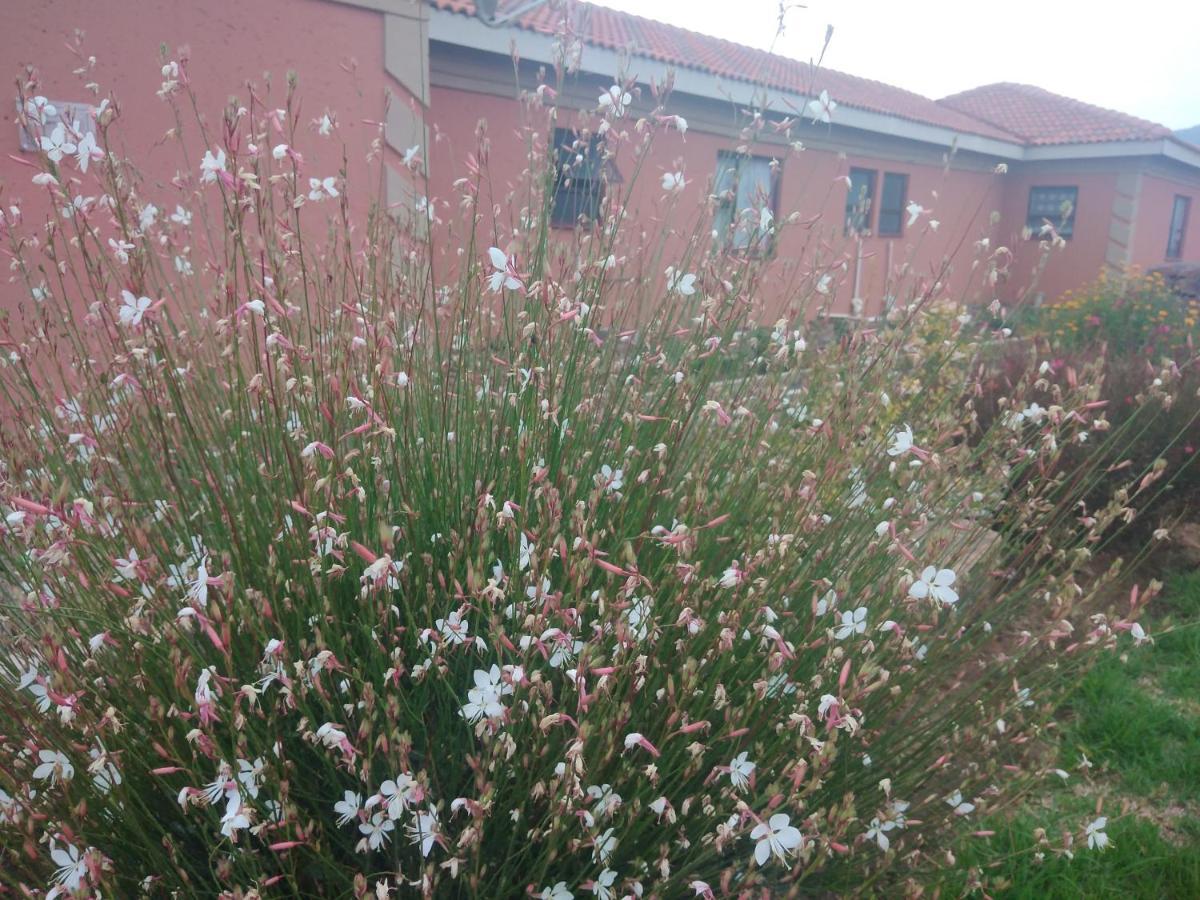 Twilight Breeze Lodge Phuthaditjhaba Exterior photo